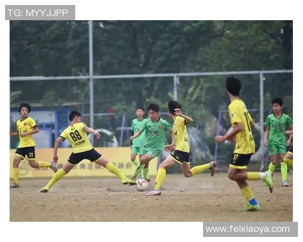 67号足球球星荣耀征程展现坚韧与激情点亮绿茵场逐梦未来