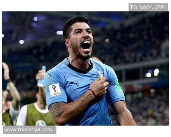 历史足球球星排名解析 揭示世界足坛最伟大球员的荣耀与成就